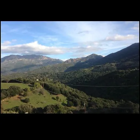 La Punta Apartamento *