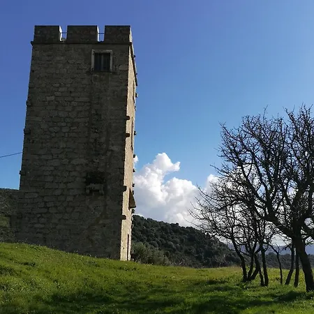 La Punta * Arbellara